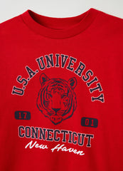 Ovs Long-Sleeved T-Shirt With Print