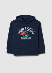 Ovs Sweatshirt With Hood And ''Jurassic Academy'' Print