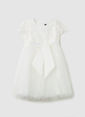 Ovs Tulle Dress With Floral Applications