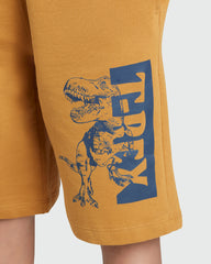 OVS Brown Shorts For Boys – Wood Thrush Tone Brown / 9-10 Y