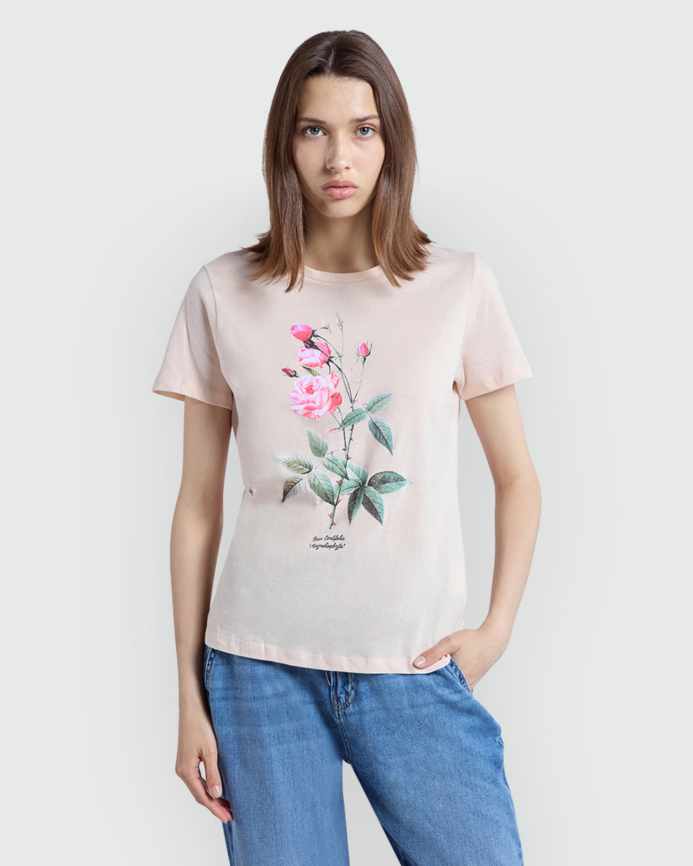 Light Pink Graphic Tee By OVS Woman Pink / M