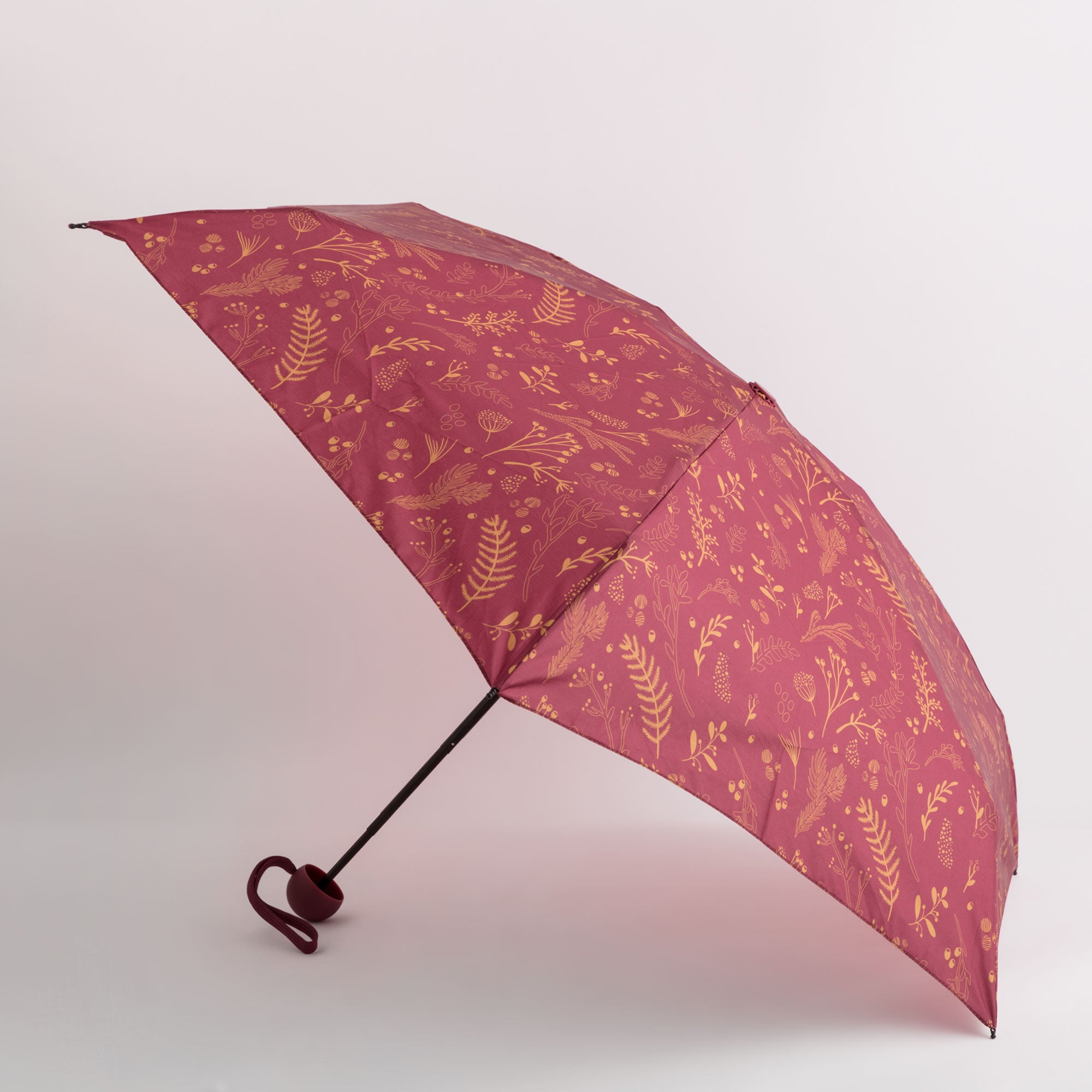 Umbrellas-Rainy Umbrella Single Size / Cherry/Multicolour