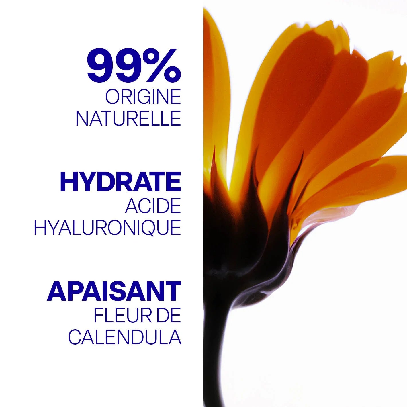 LIQUID EYESHADOW & HIGHLIGHTER 8ML 04 ICE MACCHIAT LIQUID EYESHADOW & HIGHLIGHTER 8ML 04 ICE MACCHIAT