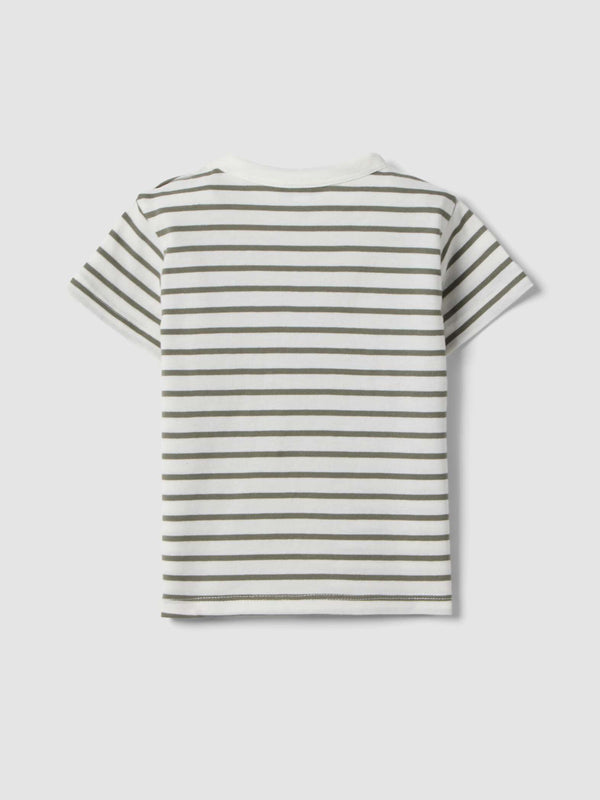 OVS Boys Pure Cotton Multicolour Striped T-Shirt With Dog Pocket