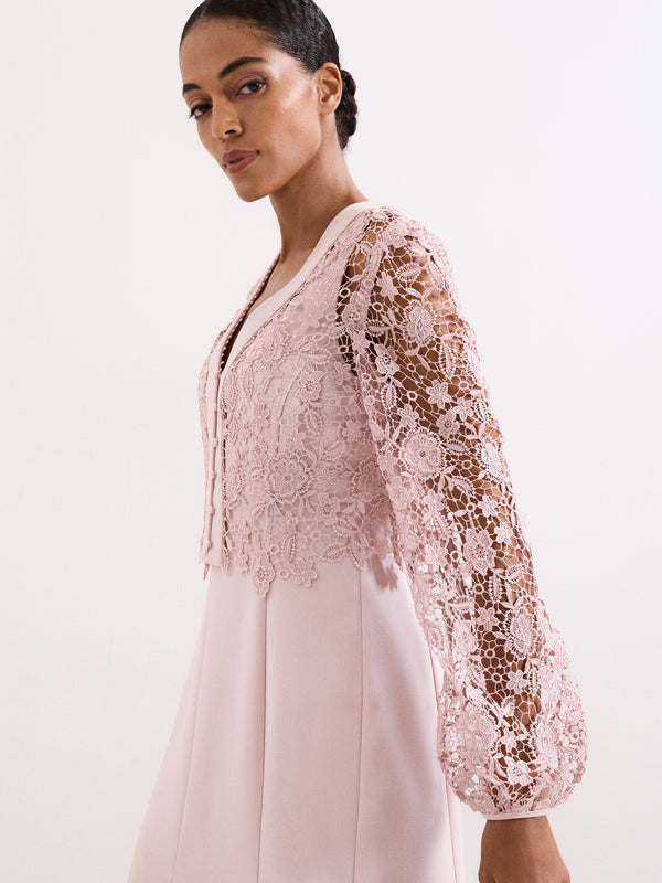 Phase Eight Ayumi Pink Lace Top Midi Dress