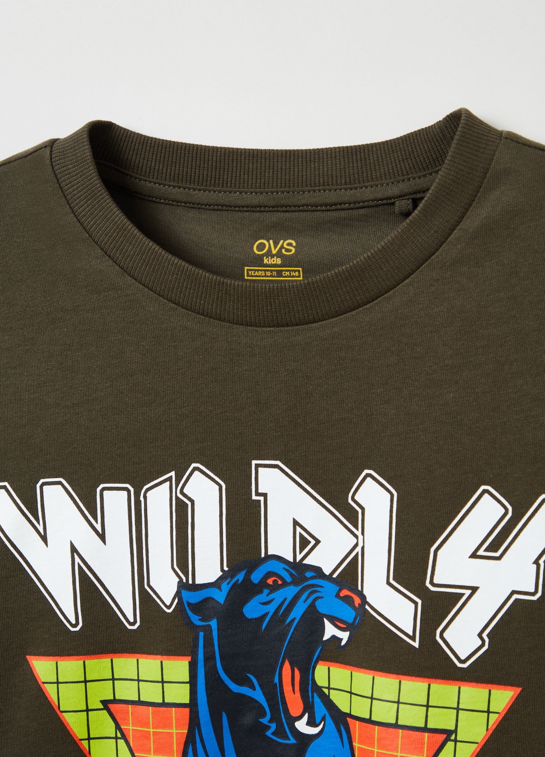 Ovs Long-Sleeved T-Shirt With Print