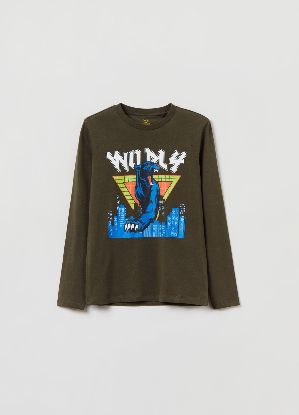 Ovs Long-Sleeved T-Shirt With Print