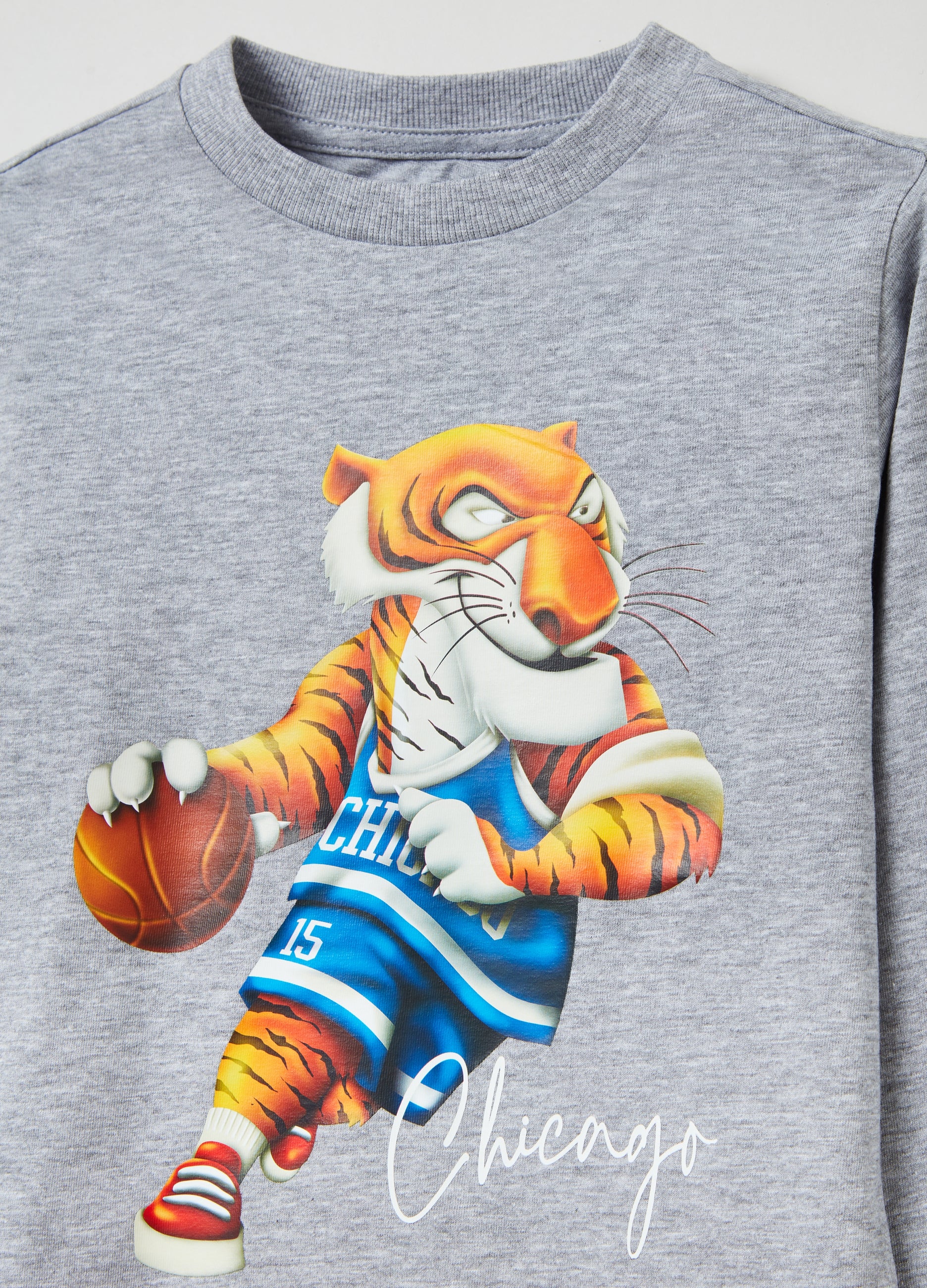 Ovs Long-Sleeved T-Shirt With Print