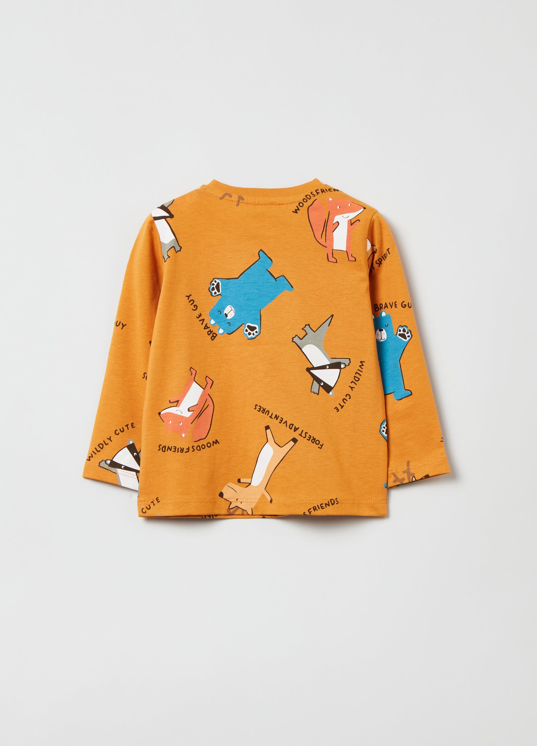 Ovs Long-Sleeved T-Shirt With Print