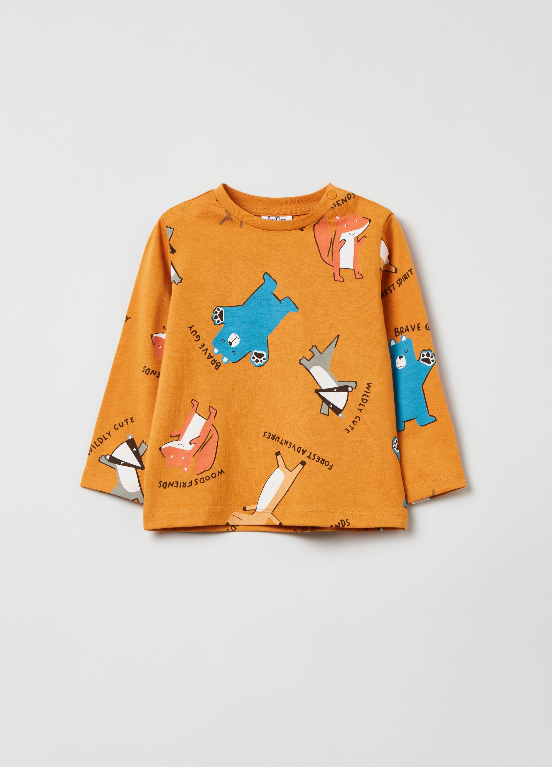 Ovs Long-Sleeved T-Shirt With Print
