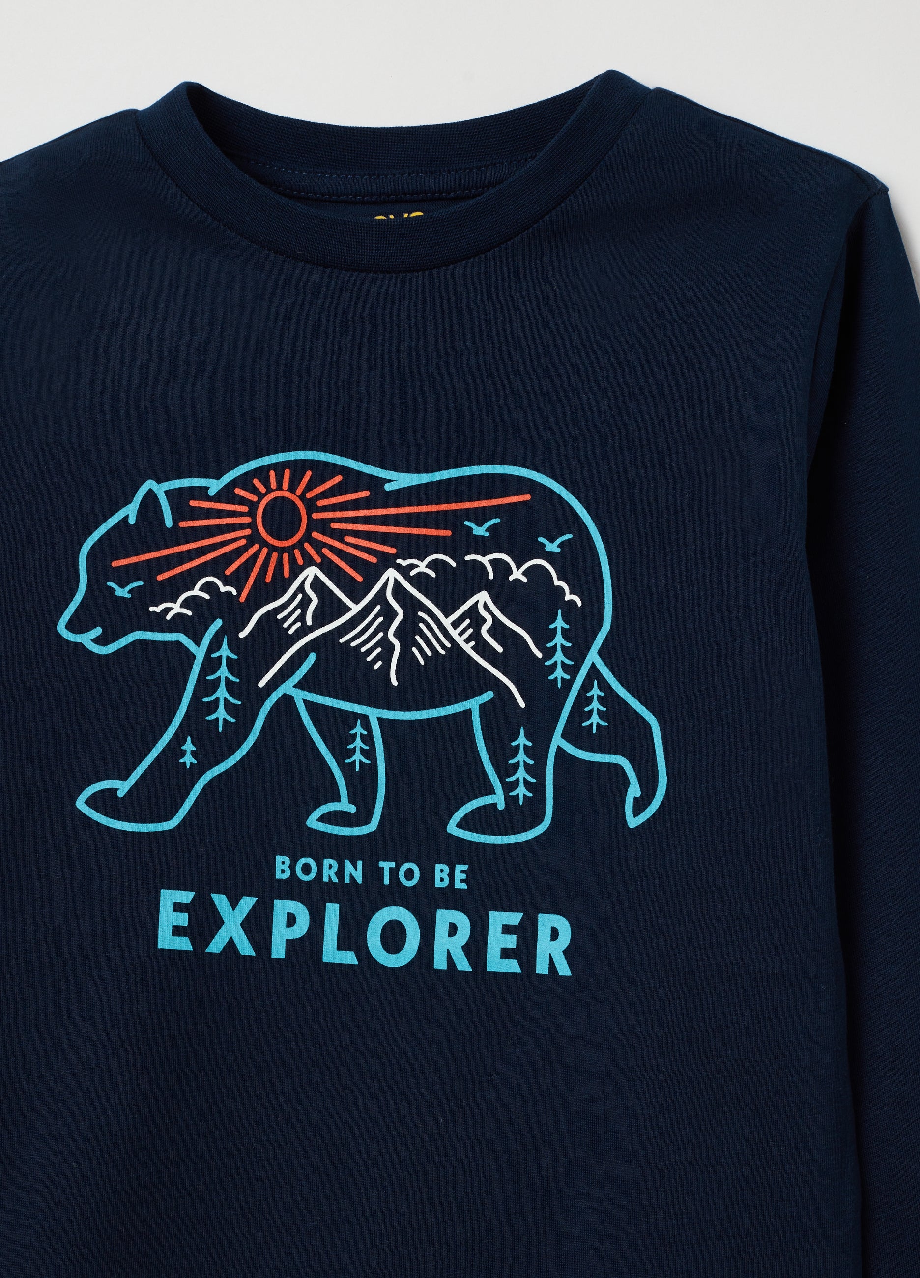 Ovs Long-Sleeved T-Shirt With Print