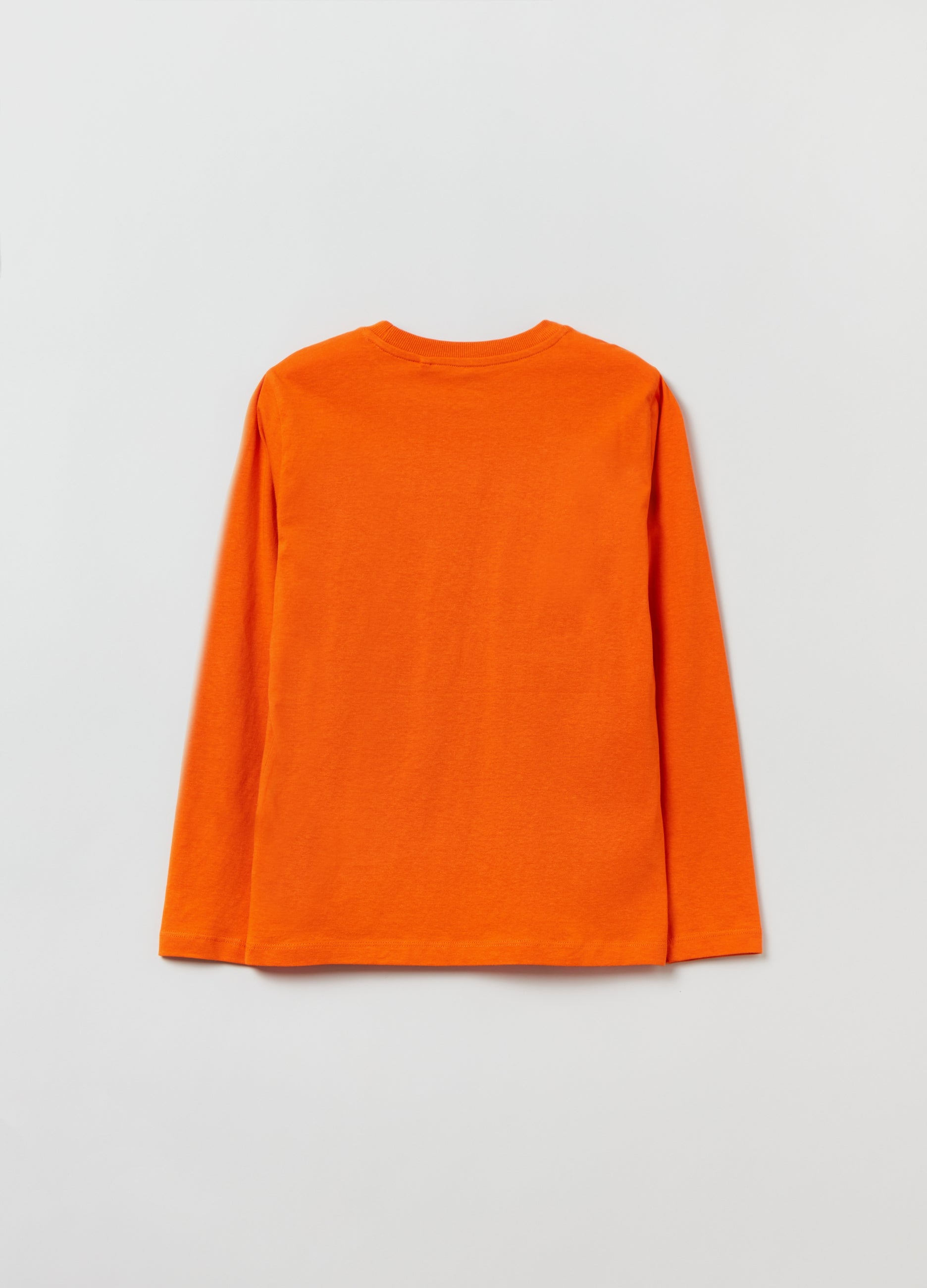 Ovs Long-Sleeved T-Shirt With Print