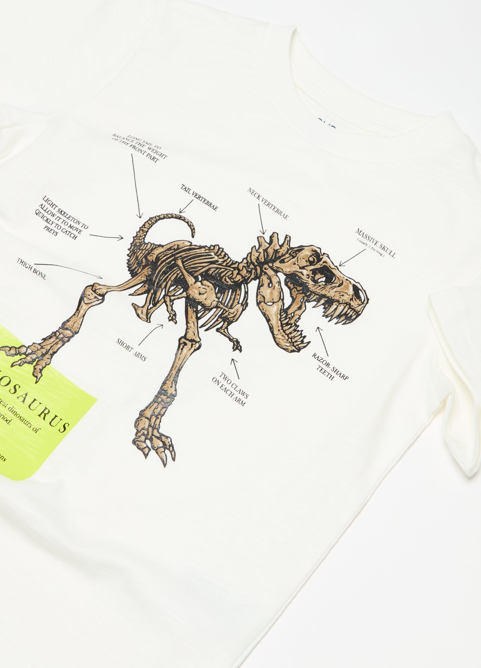 Ovs Cotton T-Shirt With Dinosaur Print