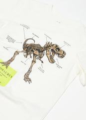 Ovs Cotton T-Shirt With Dinosaur Print