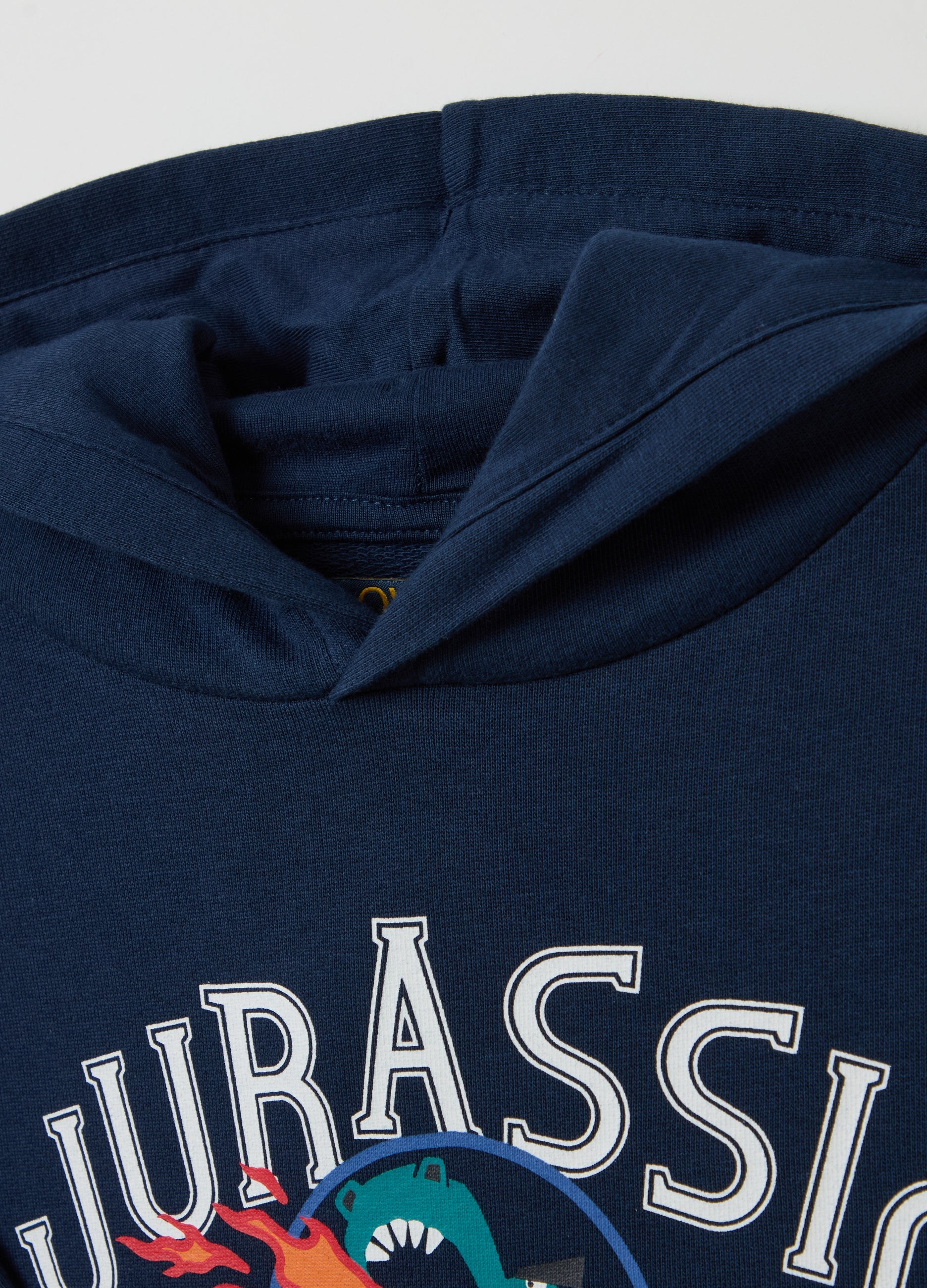Ovs Sweatshirt With Hood And ''Jurassic Academy'' Print