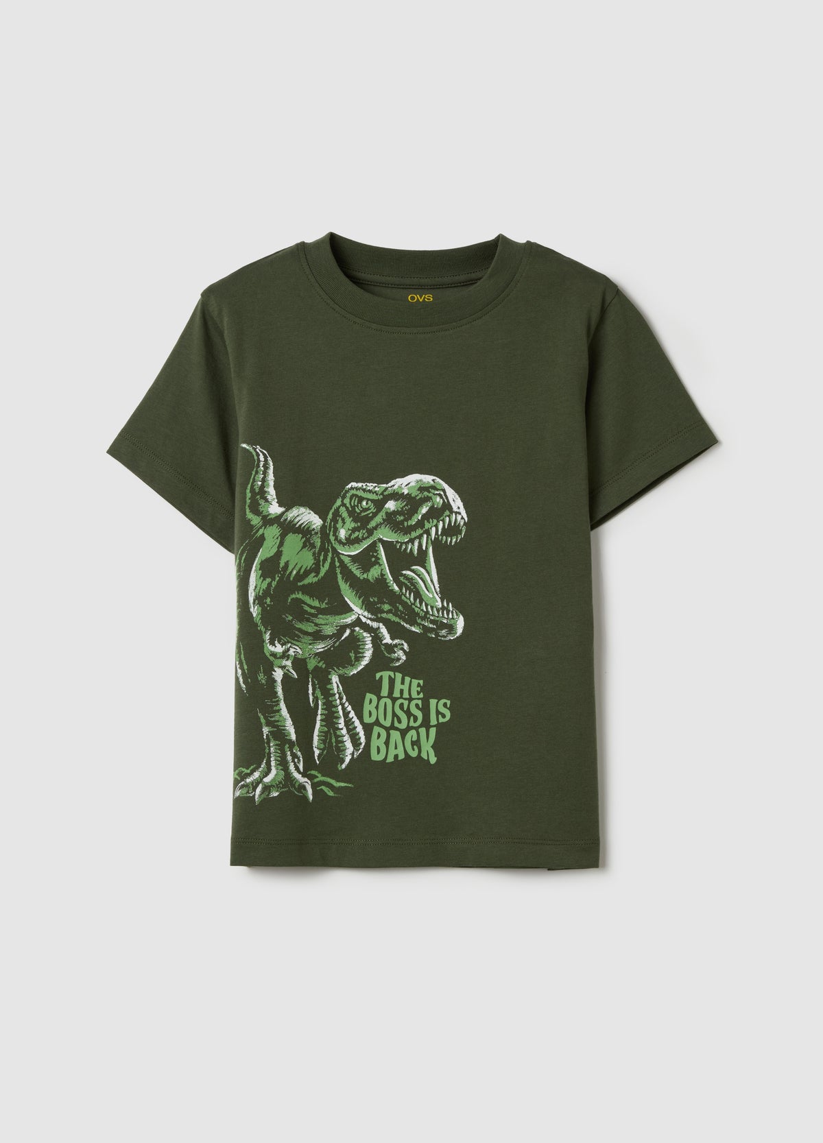 Ovs Cotton T-Shirt With Print