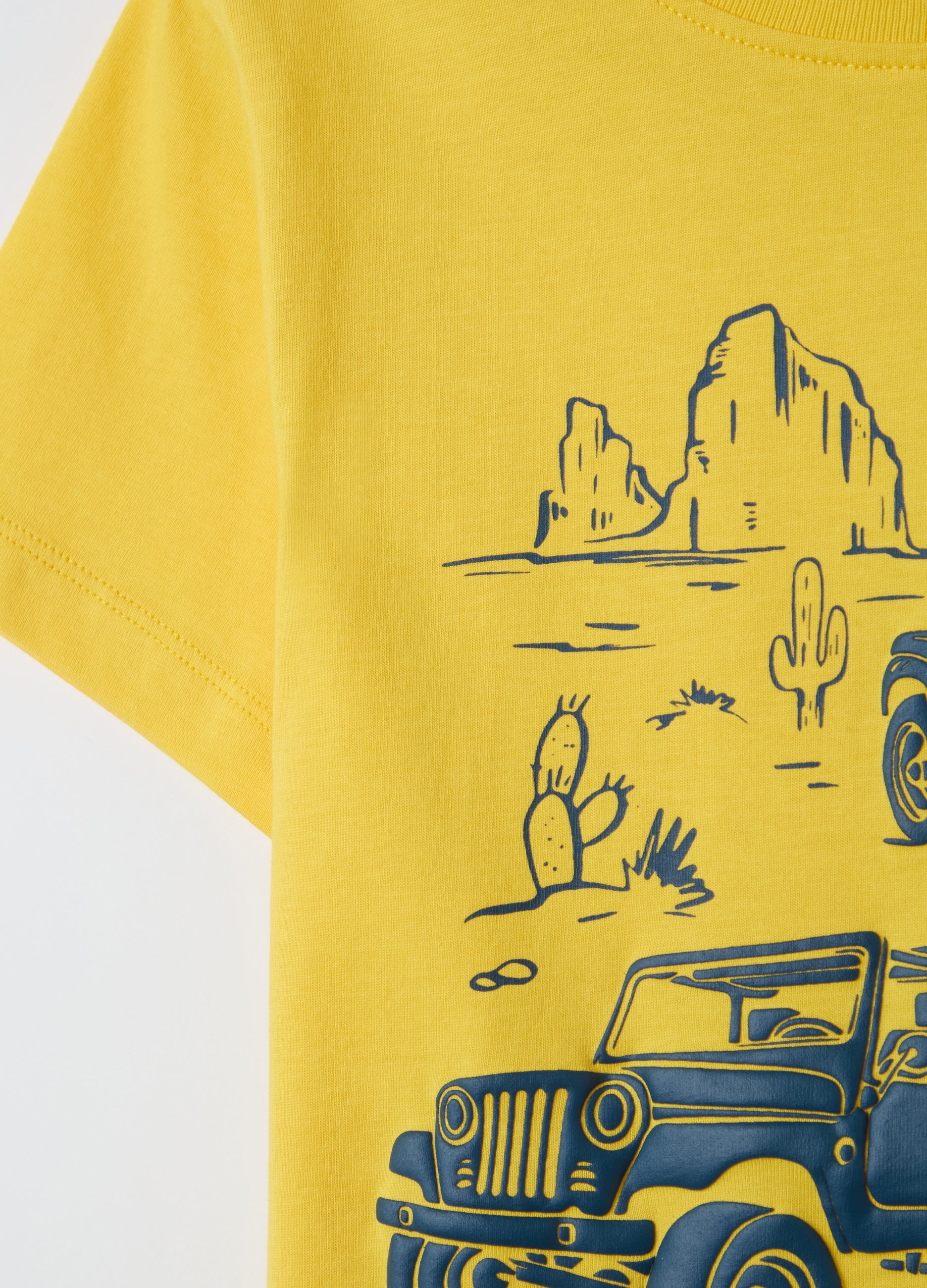 Ovs Cotton T-Shirt With Print