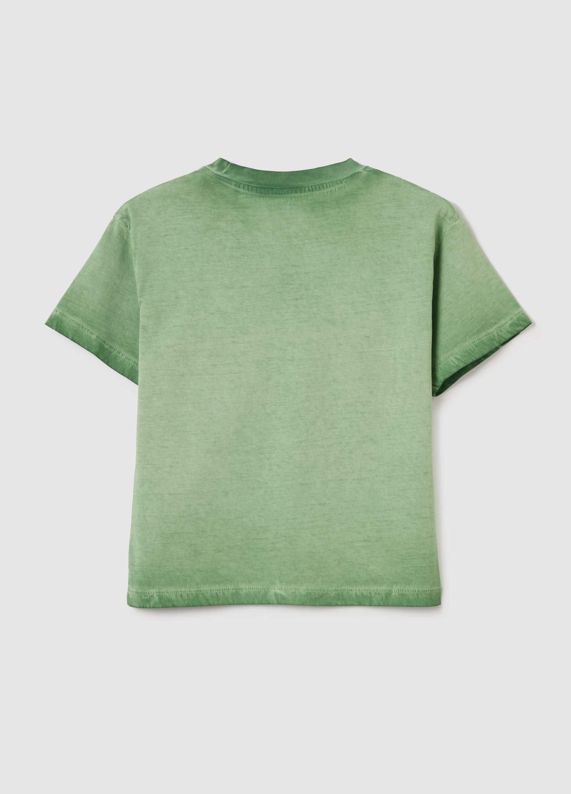 Cotton T-Shirt With ''Green Eco Travel'' Print