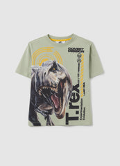OVS Children'S Green Pure Cotton T-Shirt Regular Fit With Dinosaur