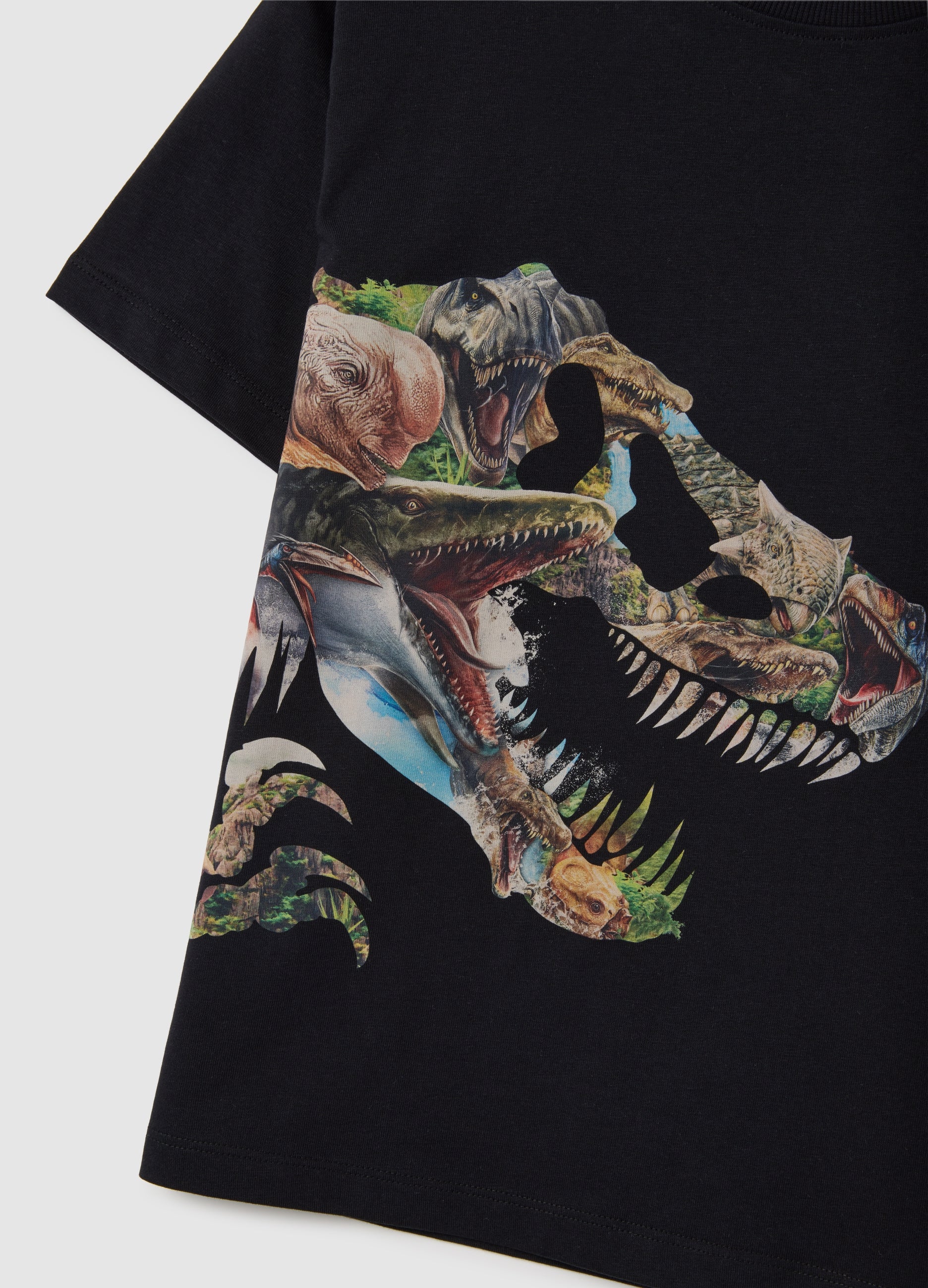OVS Black Pure Cotton Regular Fit Kids' T-Shirt With Dinosaur Print