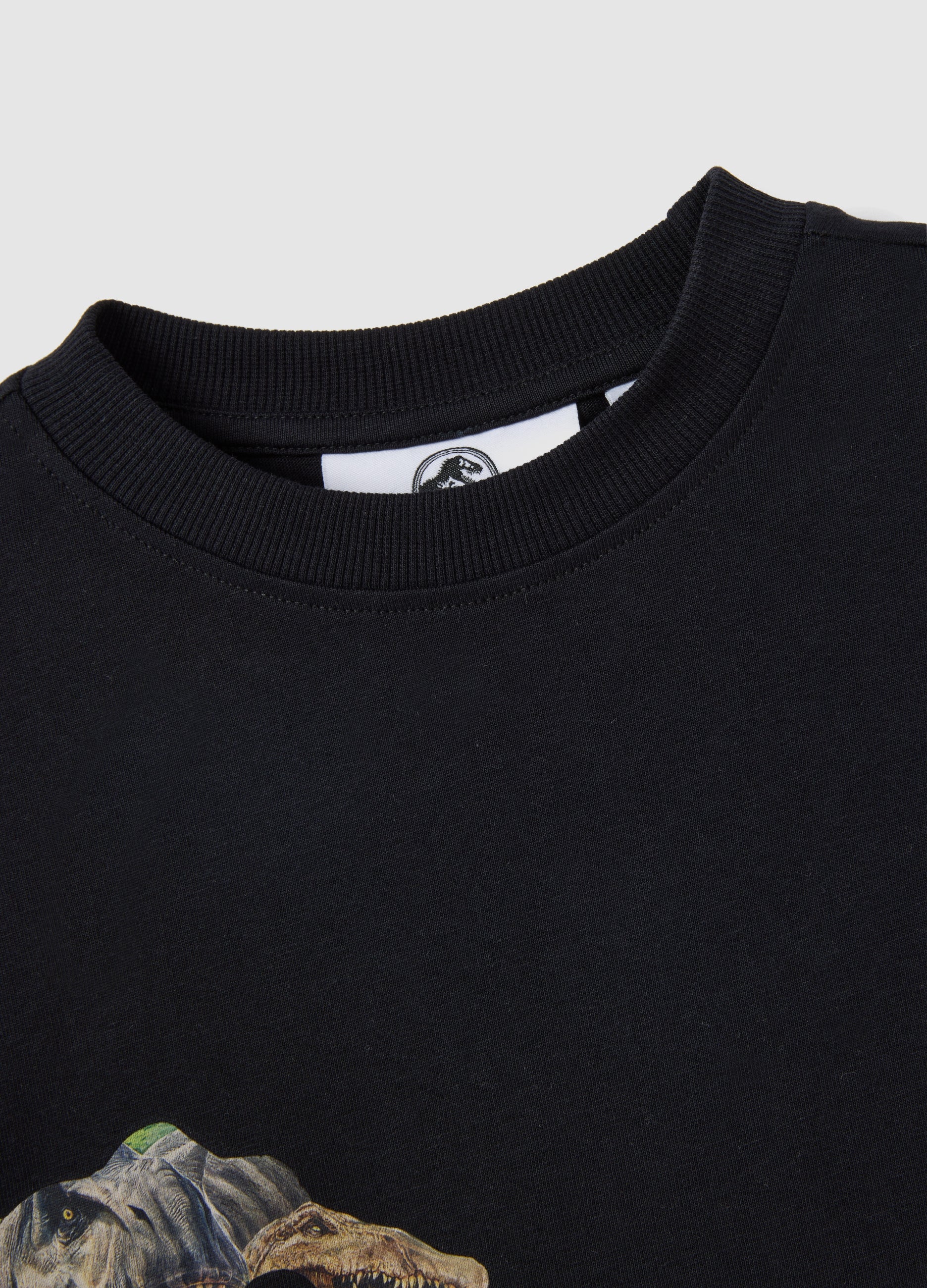 OVS Black Pure Cotton Regular Fit Kids' T-Shirt With Dinosaur Print