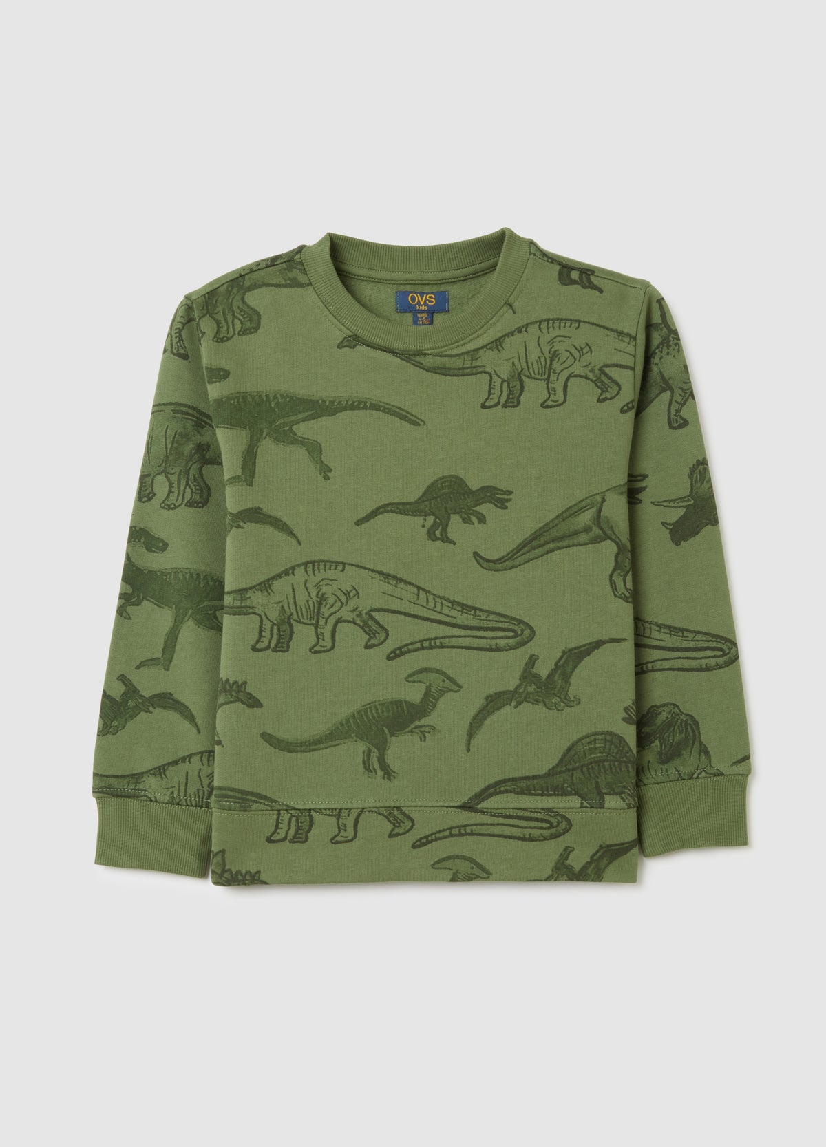 OVS Child'S Oversized Fit Green Pure Cotton Sweatshirt