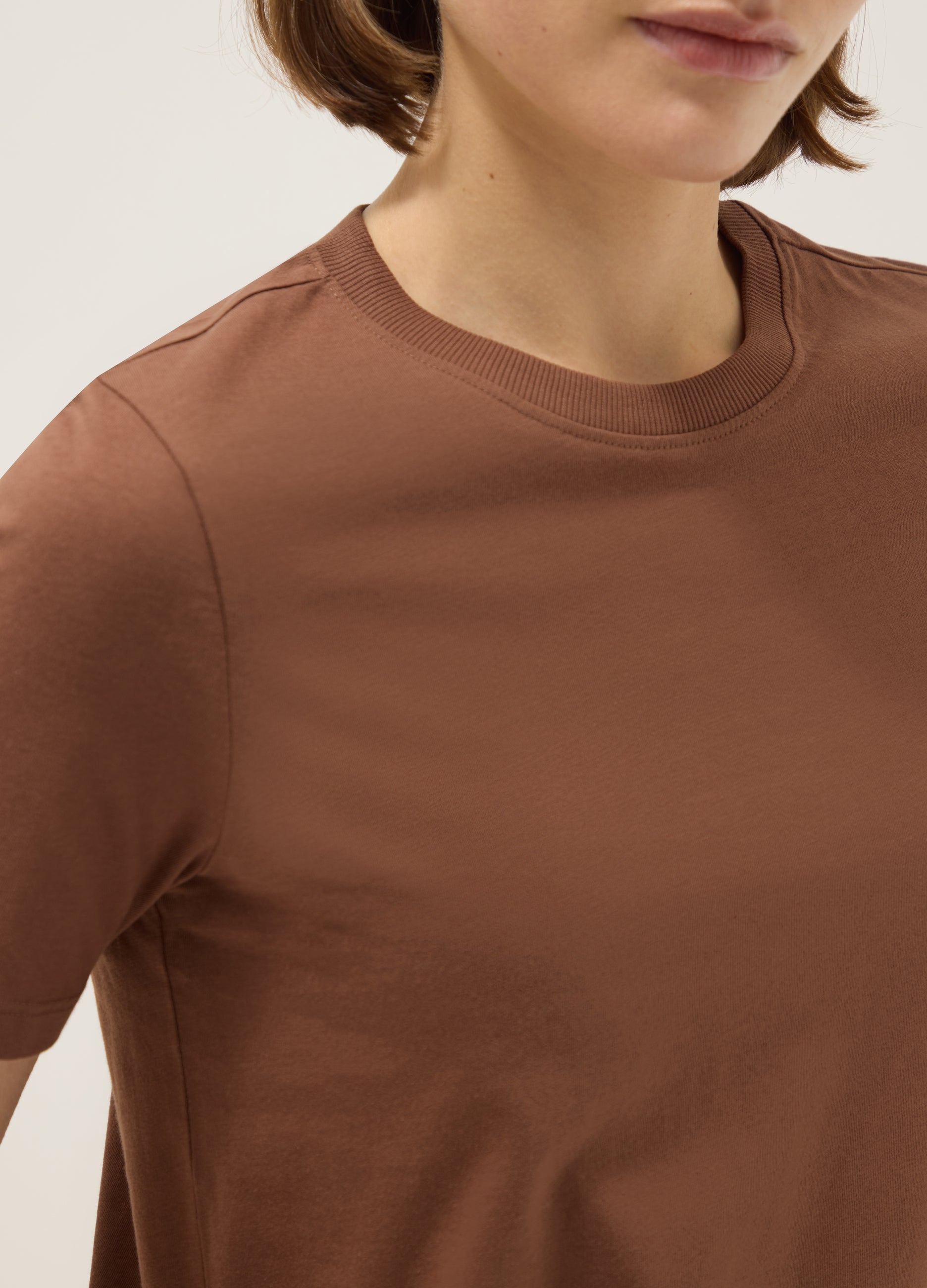 OVS Brown Pure Cotton Crew Neck T-Shirt Regular Fit