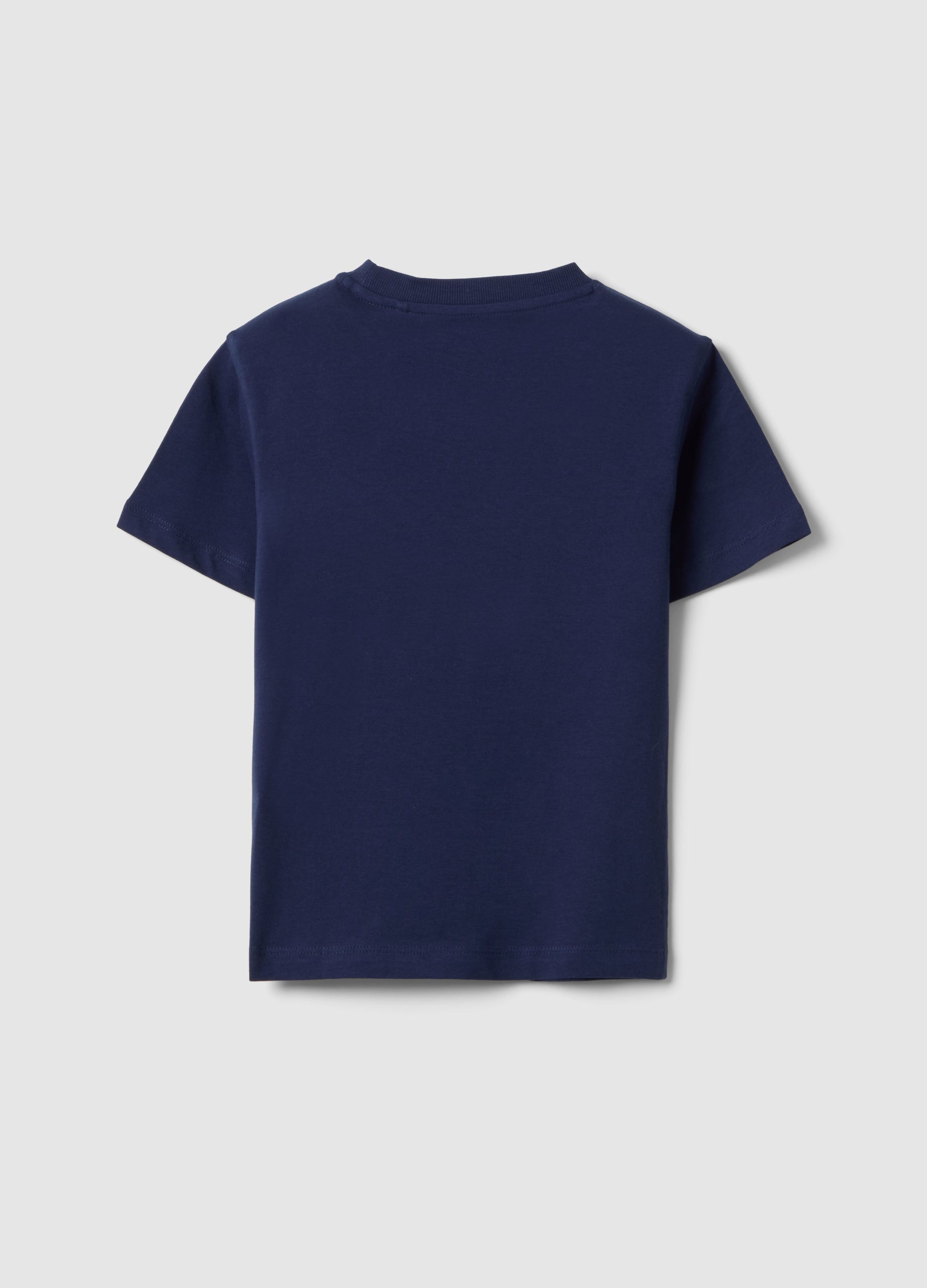 OVS Boys' Regular Fit Blue Pure Cotton T-Shirt With Palm Print