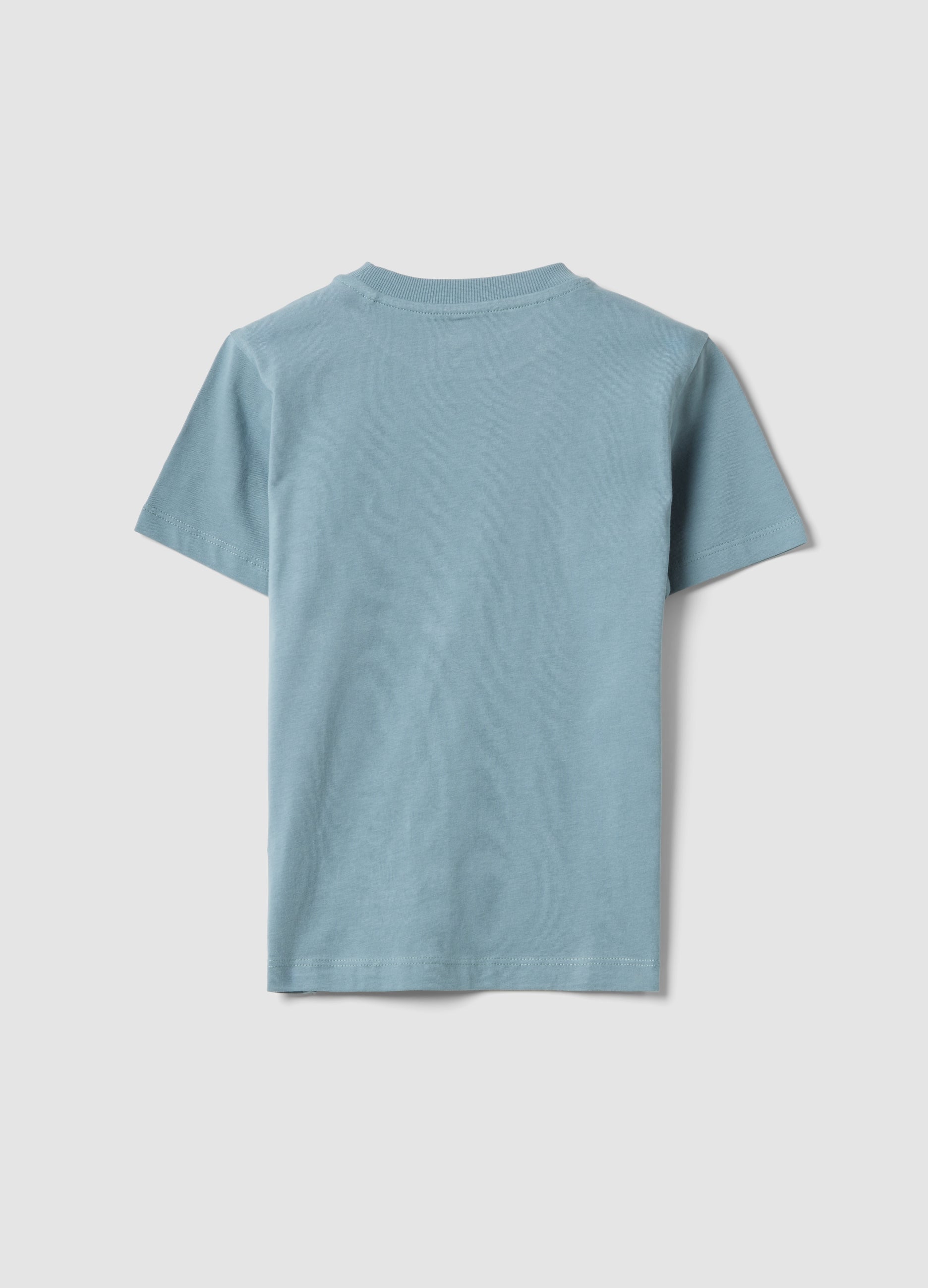 OVS Blue Pure Cotton Boys’ T-Shirt With Surf Print, Regular Fit