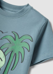 OVS Blue Pure Cotton Boys’ T-Shirt With Surf Print, Regular Fit