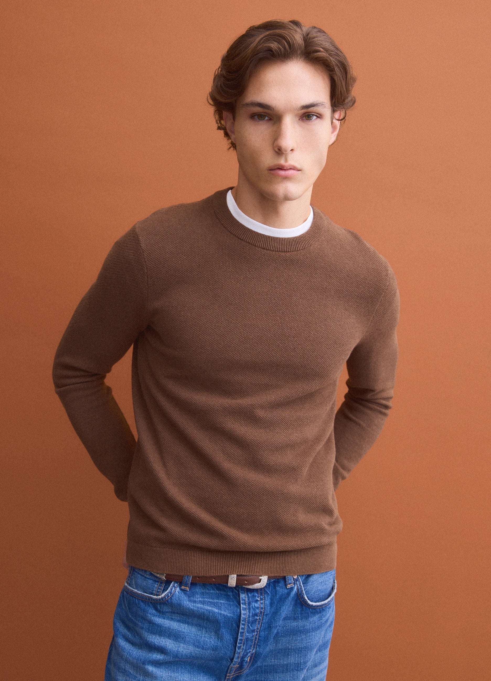 OVS Brown pure cotton crew-neck jumper, regular fit