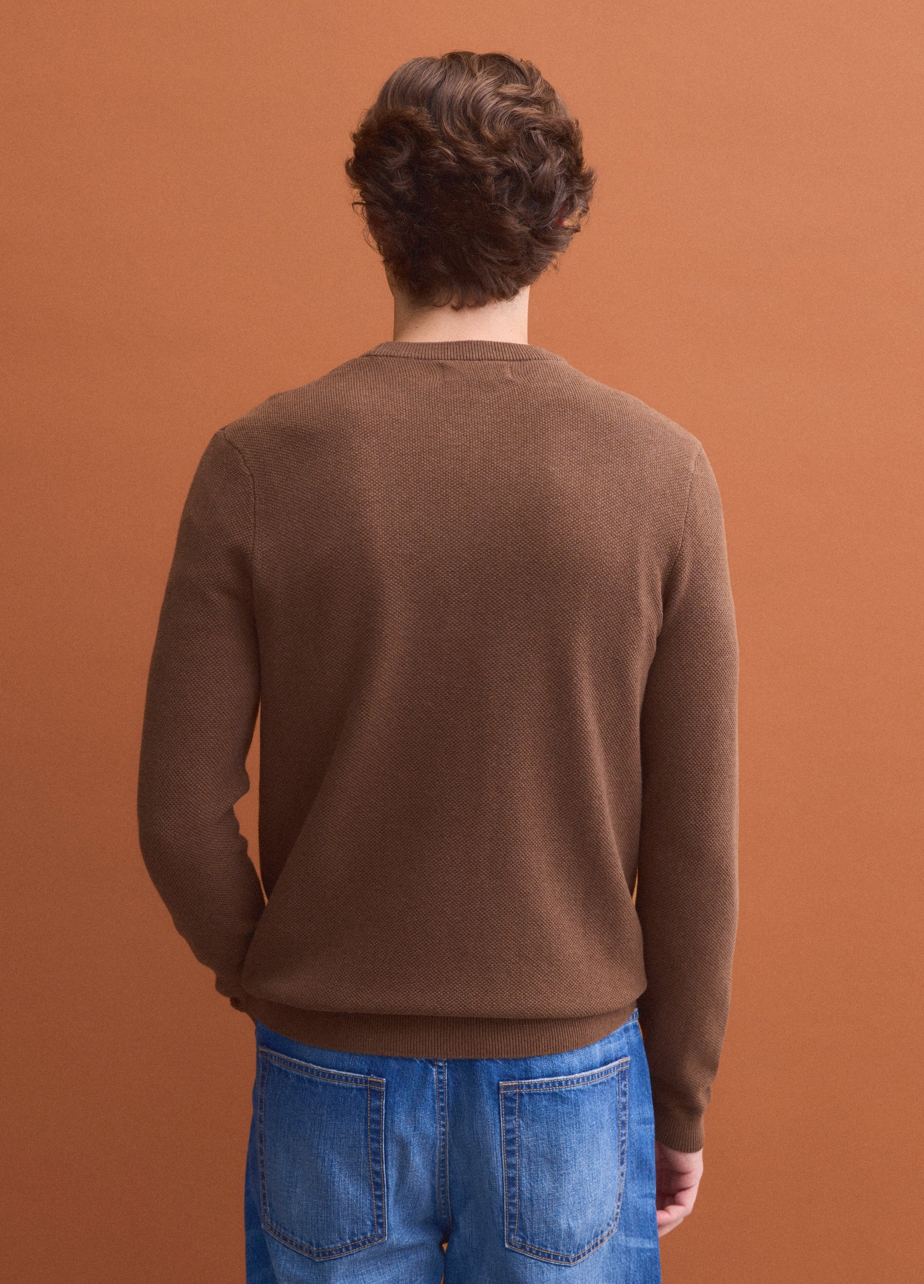 OVS Brown pure cotton crew-neck jumper, regular fit