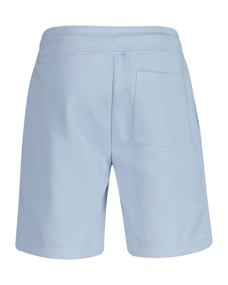 REG SHIELD SWEAT SHORTS Blue / S