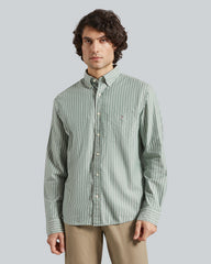 Reg Brushed Twill Stripe Shirt Green / L