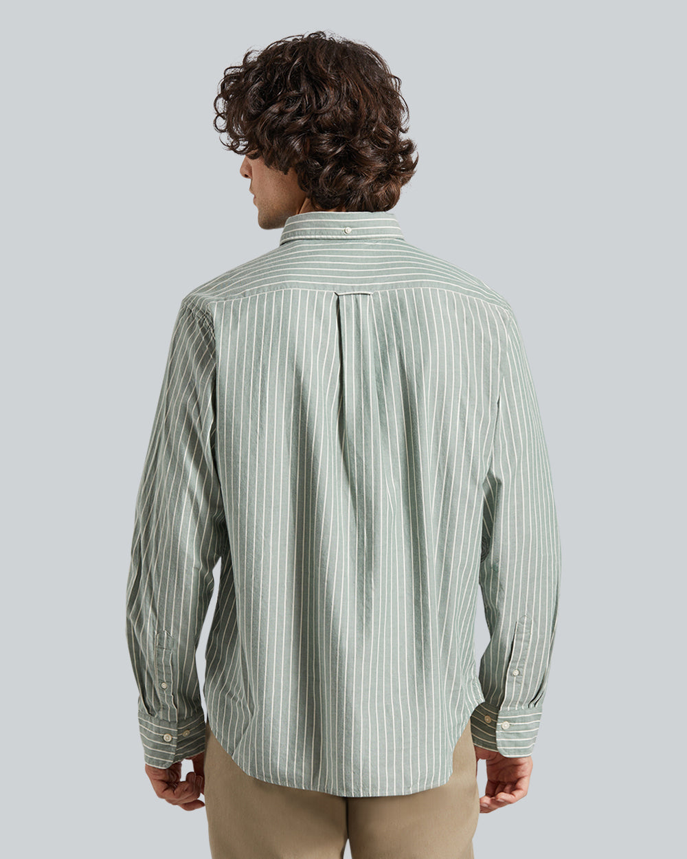Reg Brushed Twill Stripe Shirt Green / L