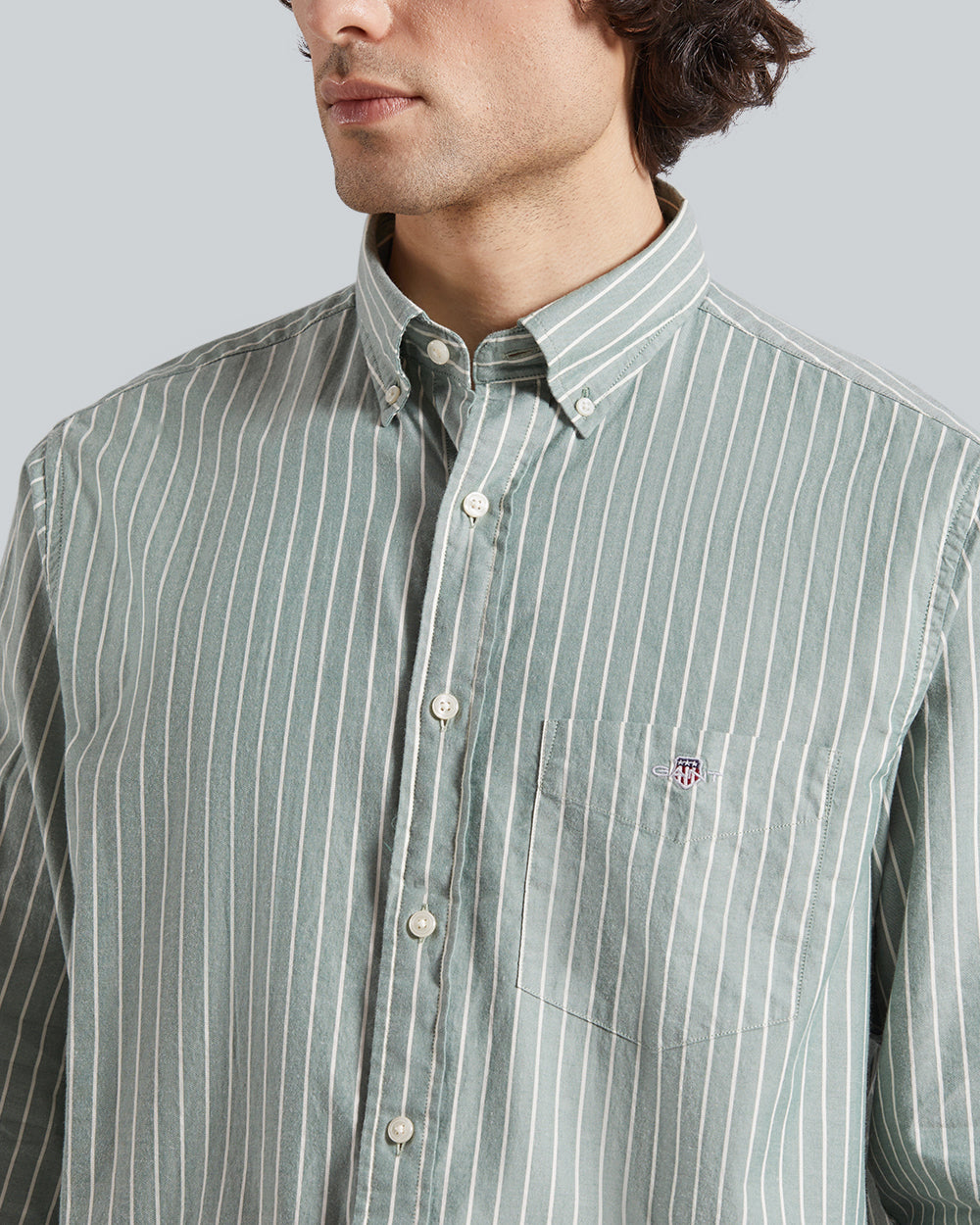 Reg Brushed Twill Stripe Shirt Green / L