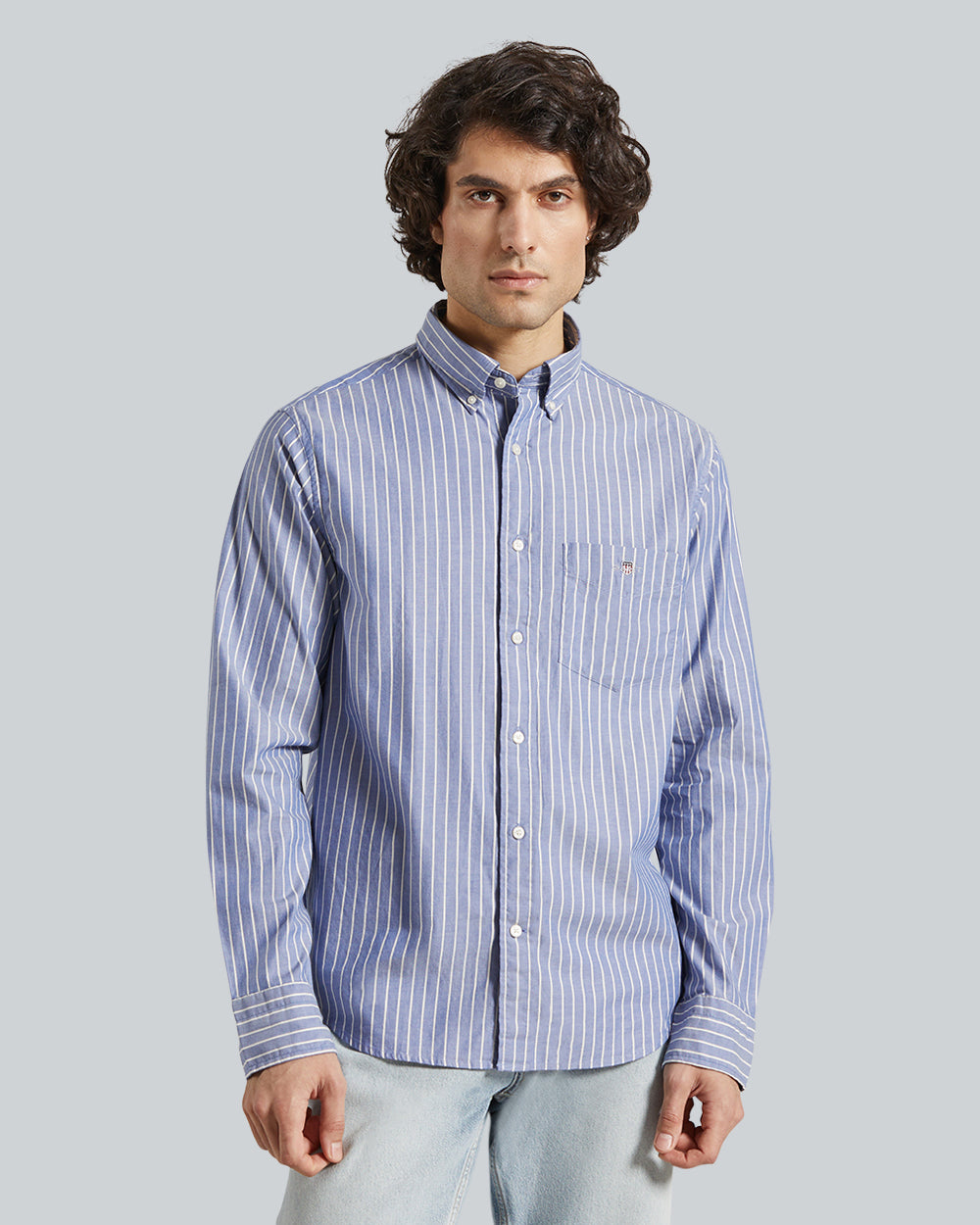 Reg Brushed Twill Stripe Shirt Blue / L