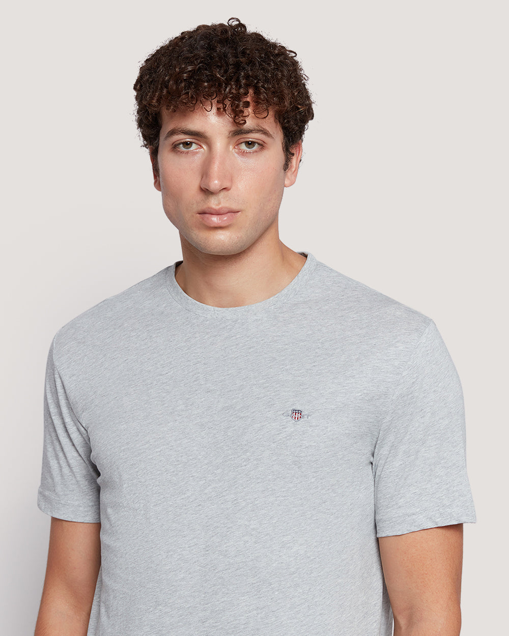 Shield Logo Ss T-Shirt Grey / M