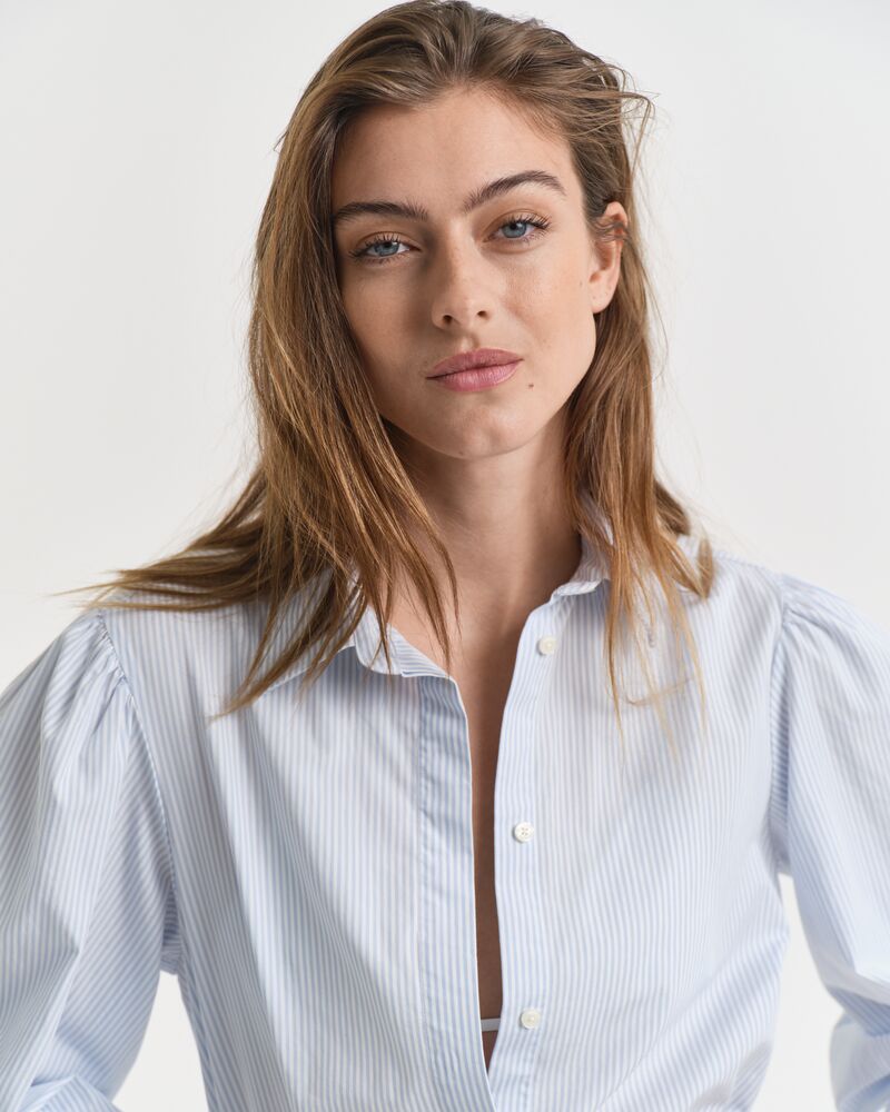 Striped Classic Poplin Dress