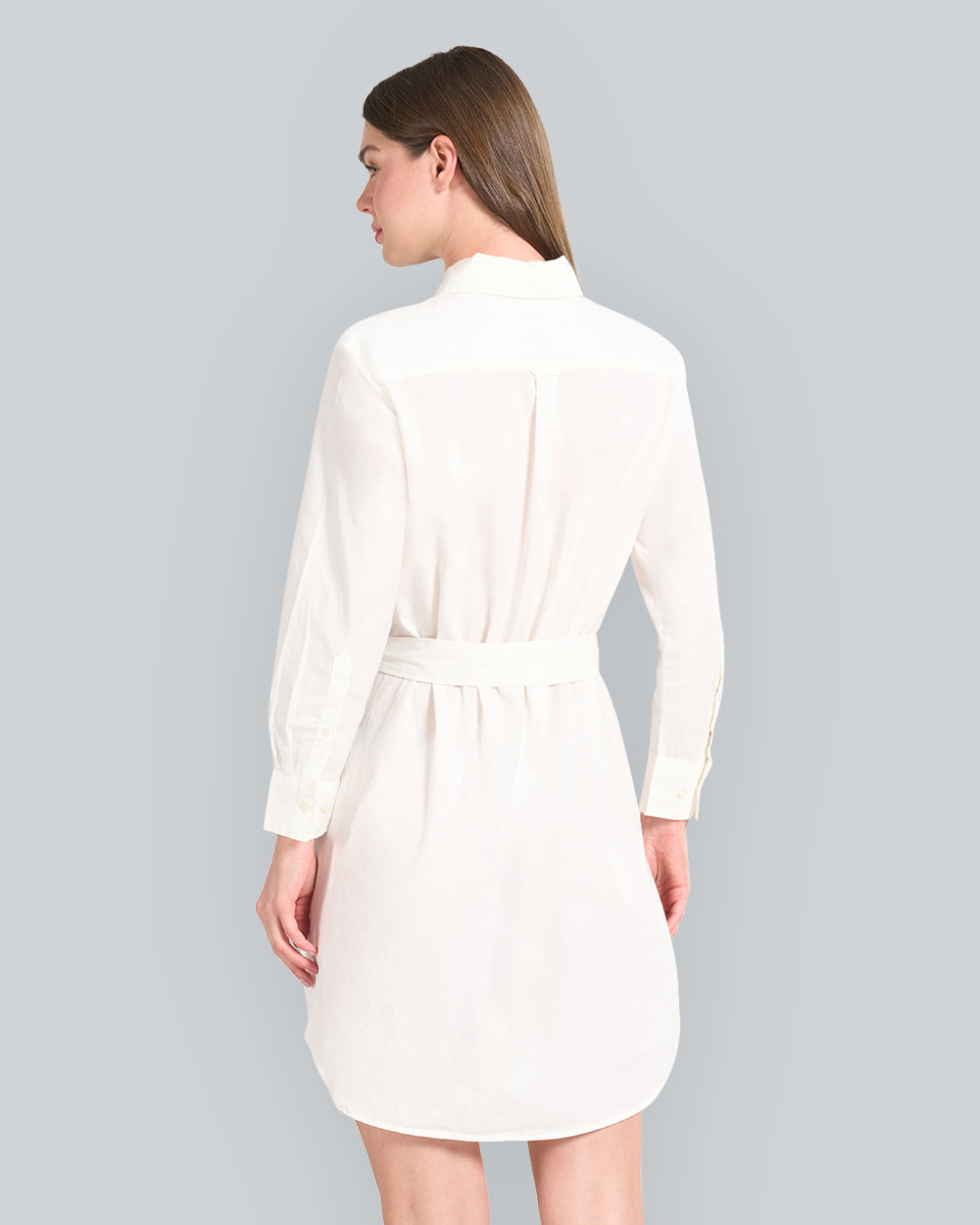 Luxury Oxford Shirt Dress