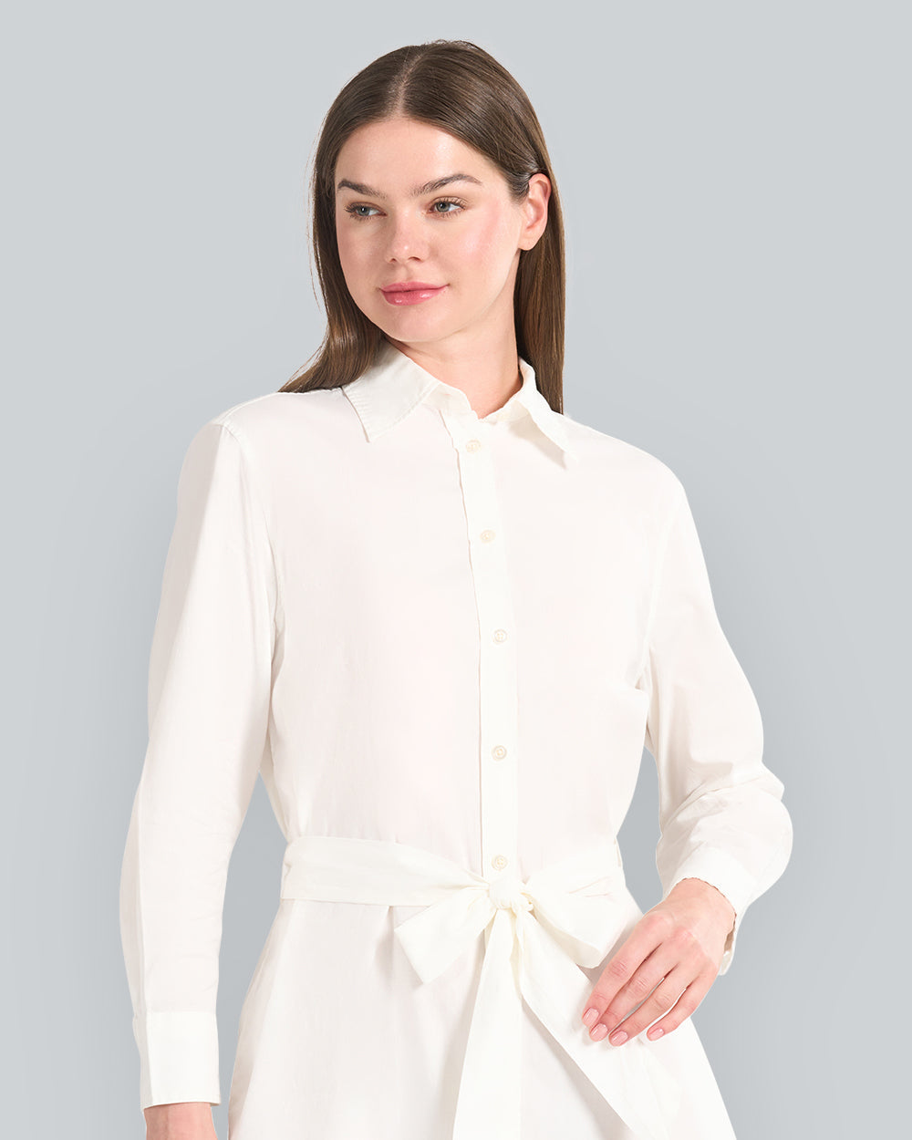Luxury Oxford Shirt Dress