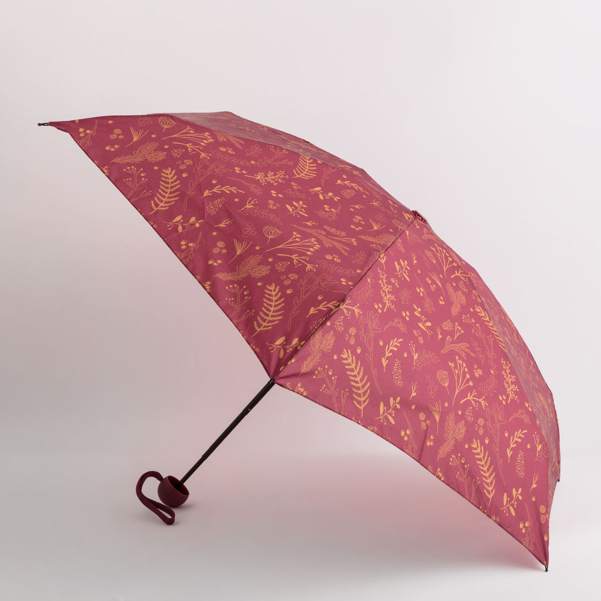Umbrellas-Rainy Umbrella Single Size / Cherry/Multicolour