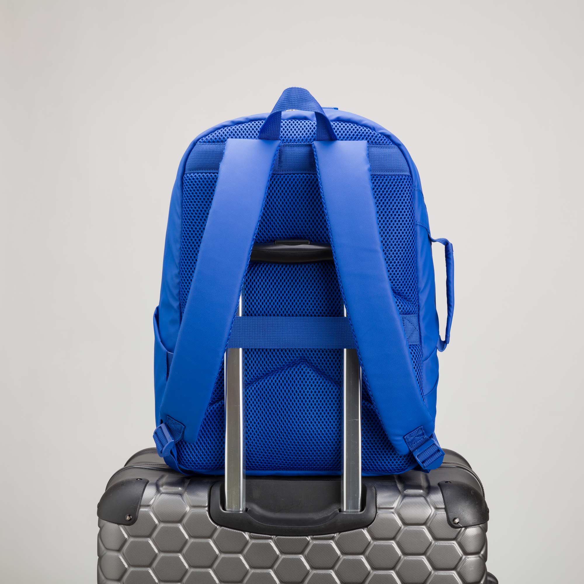 Backpack -Thrilling Go Bags Single Size / Electric Blue