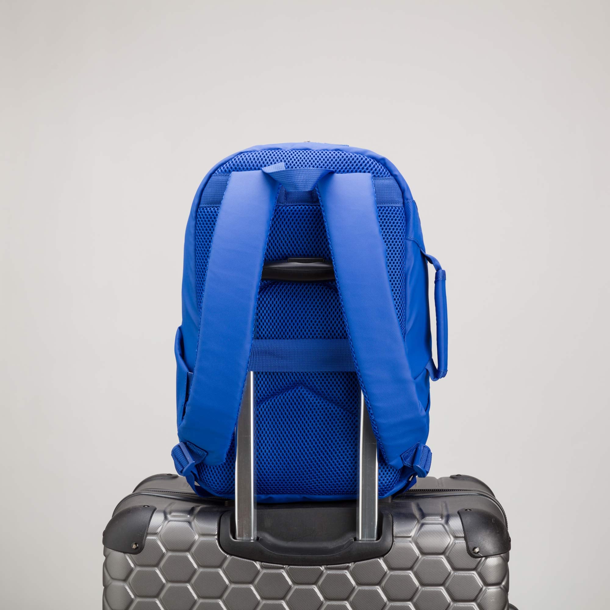 Backpack -Thrilling Go Bags Single Size / Electric Blue