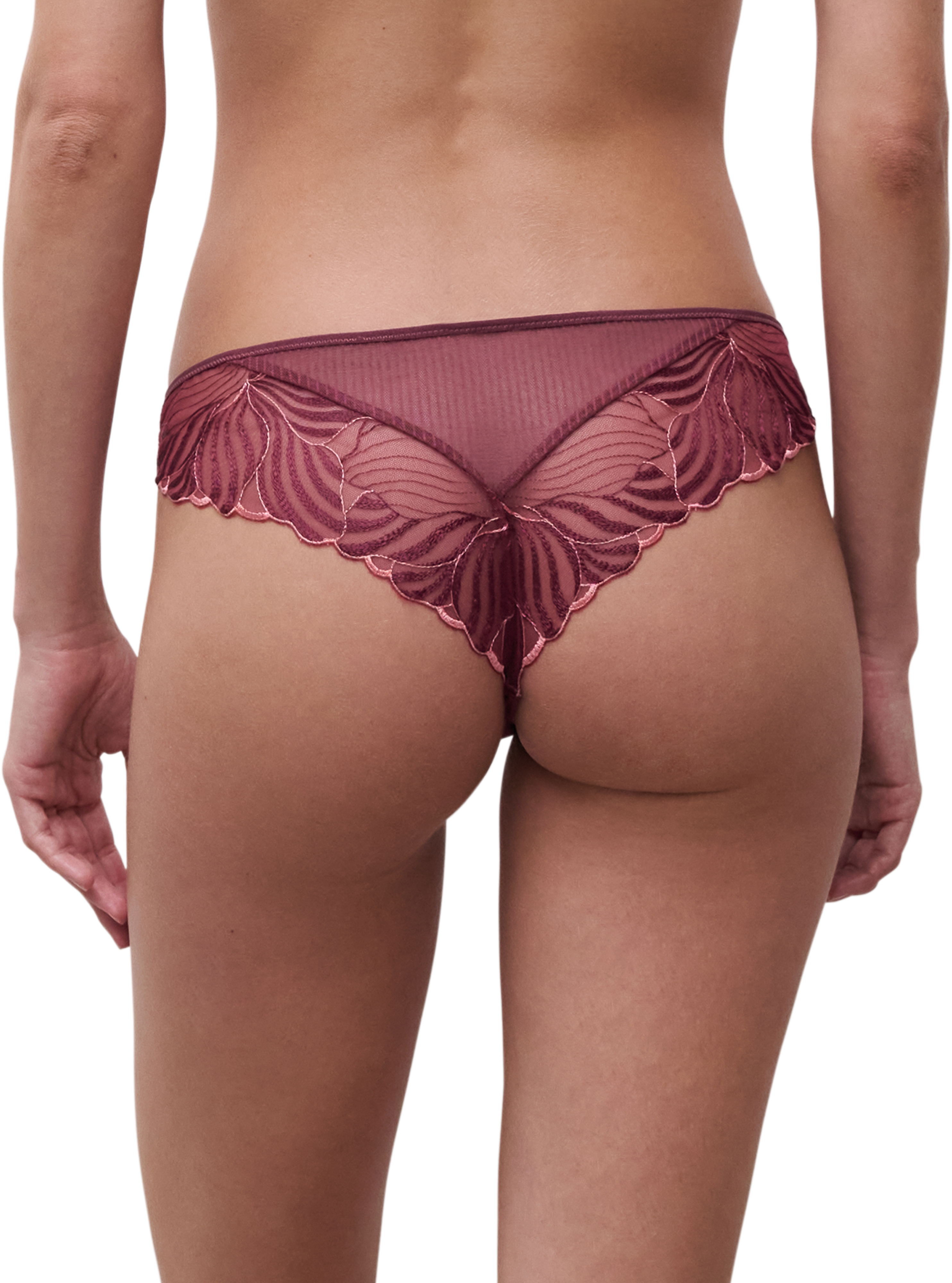 Chantelle Legend Thong Panty