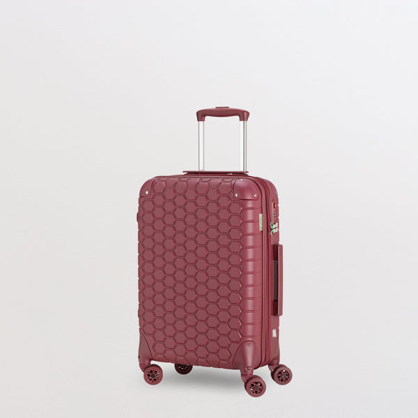 Hard Trolleys S-Gotech Green Fw Single Size / Cherry