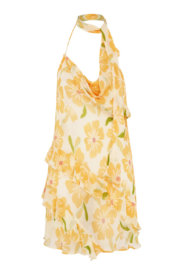 Wild Lovers Sundance Dress