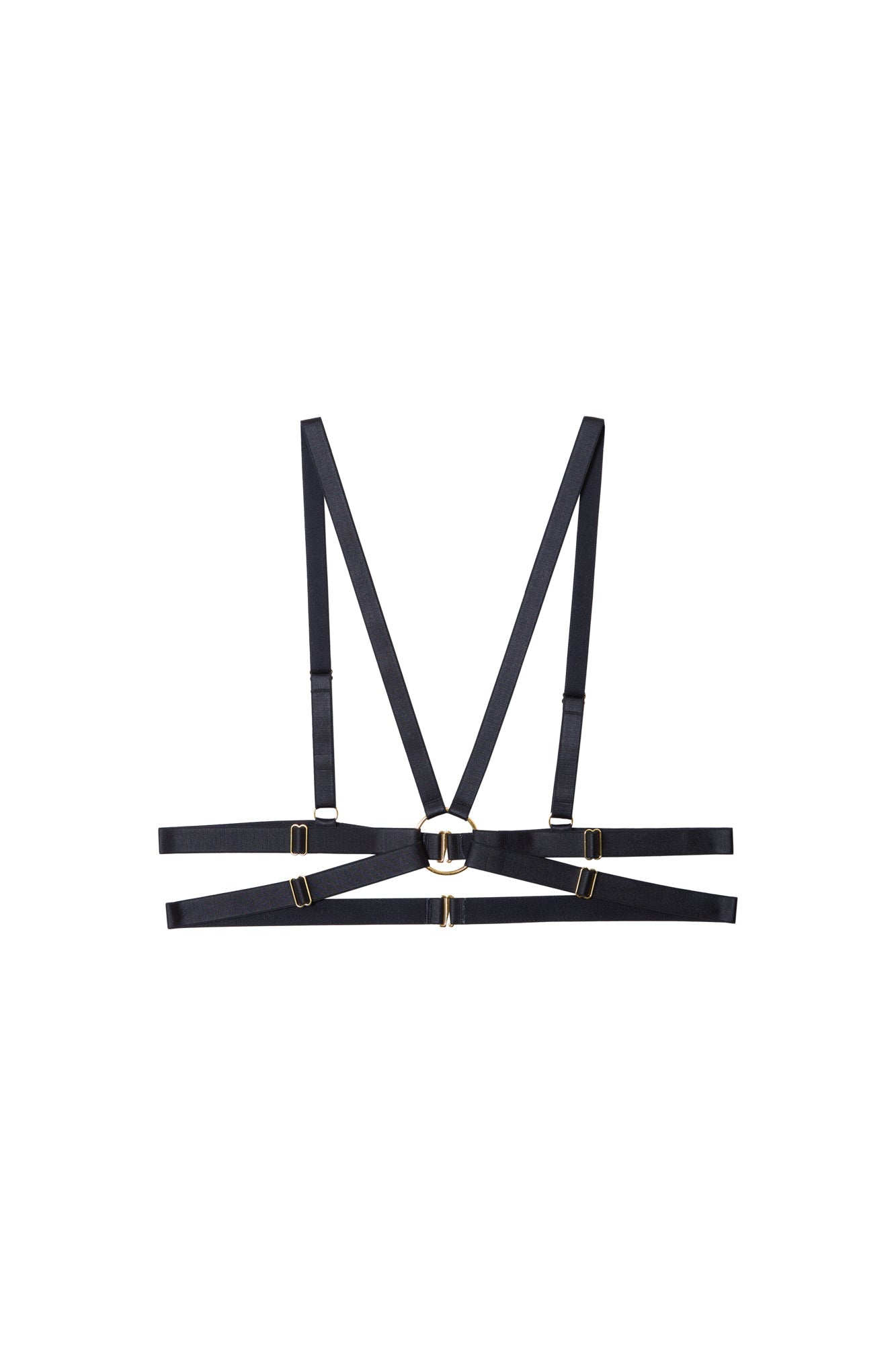 Playful Promises Aneta & Gold Elastic Body Harness