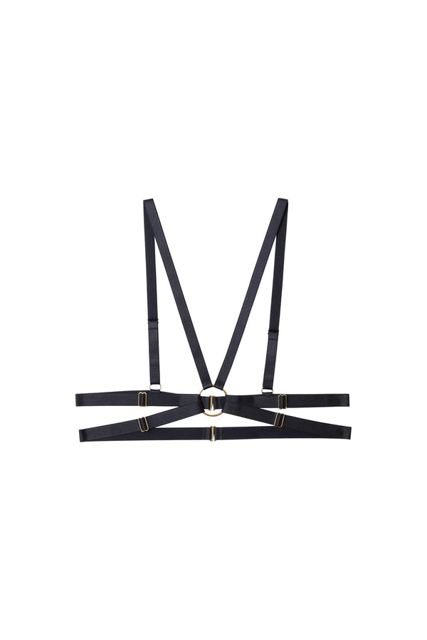 Playful Promises Aneta & Gold Elastic Body Harness