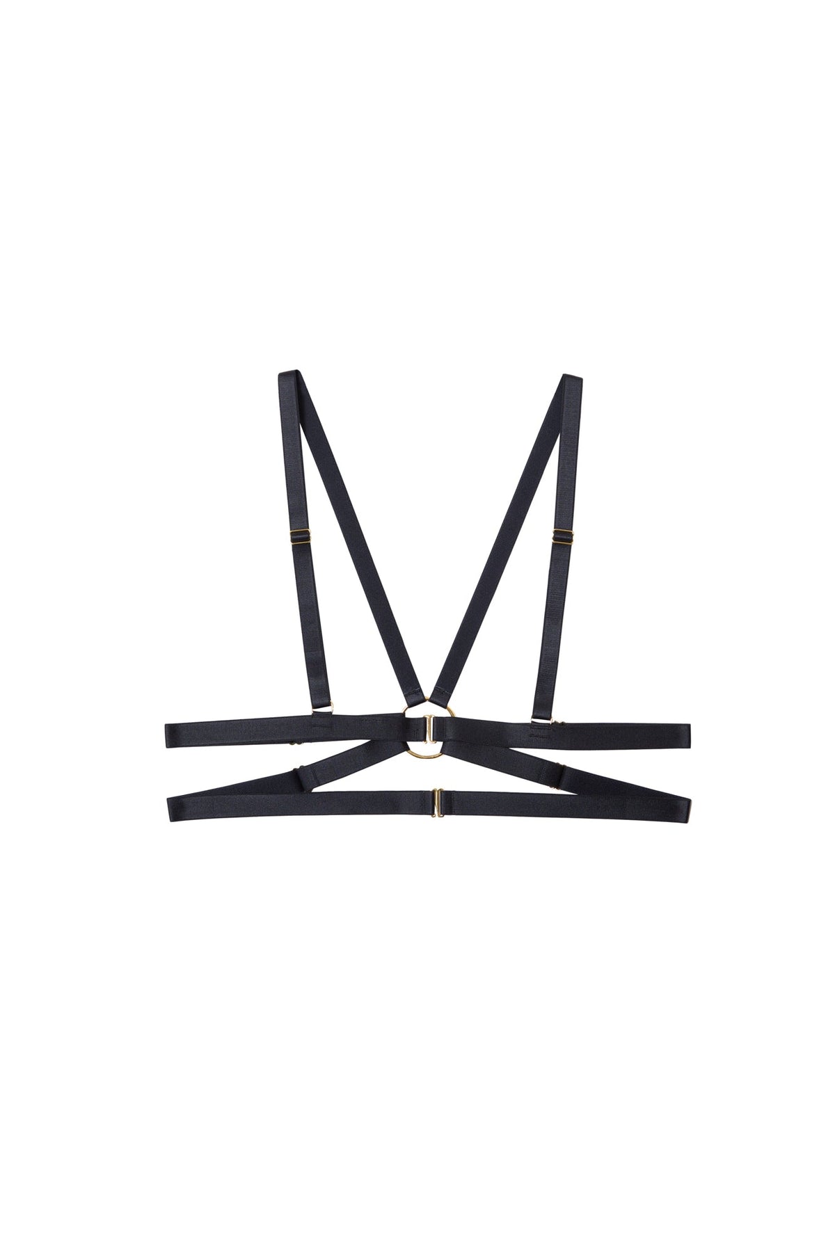 Playful Promises Aneta & Gold Elastic Body Harness